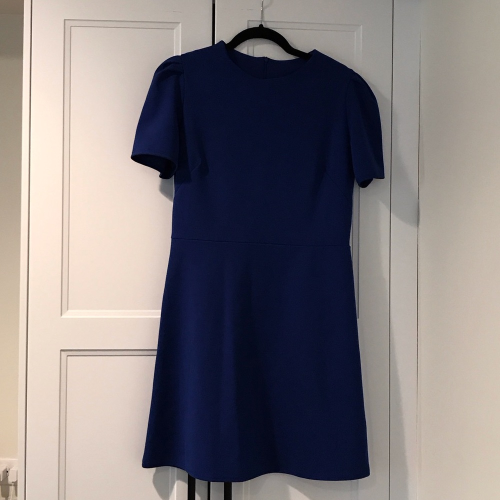 Elegant Blue Dress
